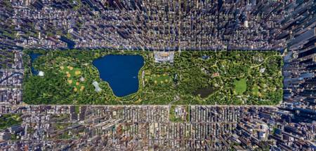 Jigsaw Puzzle - Central Park (#16781) - 3000 Educa