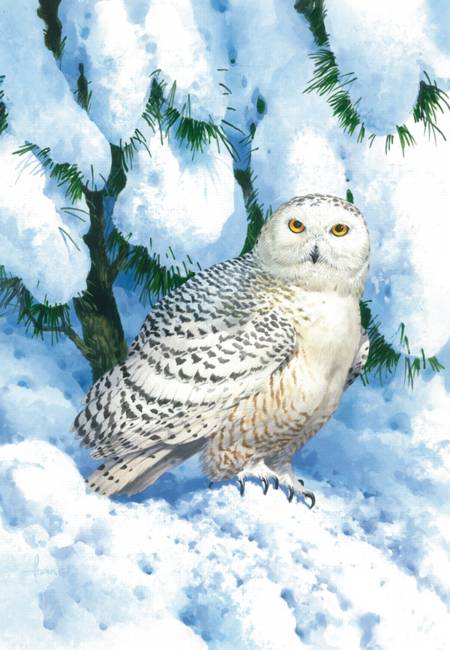 Wooden Jigsaw Puzzle - Winter Camouflage Owl (#731506) - 250 Pieces
