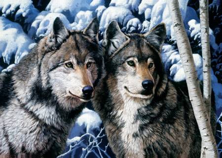 Jigsaw Puzzle - Wolves (10318)