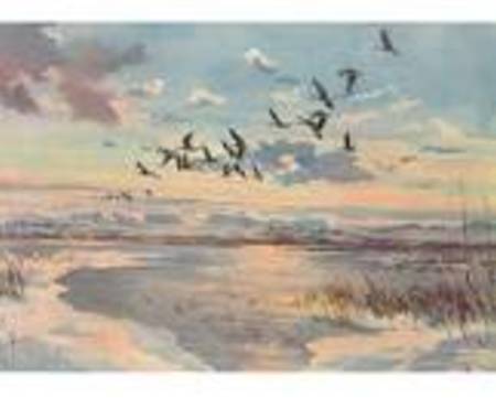 Wooden Jigsaw Puzzle -Greylag On Loch (931804)- 500 Pieces