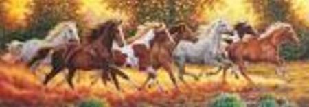 Jigsaw Puzzle - Running Horses(Panoramic Image) - 31300 1000 Pieces Clementoni