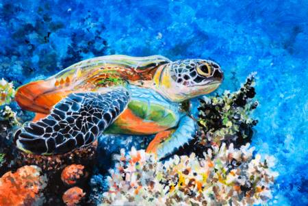 Wooden Jigsaw Puzzle-Sea Turtle in the Corrals-500 Piece Wooden Jigsaw Puzzle