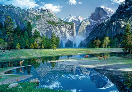 Wooden Jigsaw Puzzle -Yosemite Spring (782105) - 250 Pieces