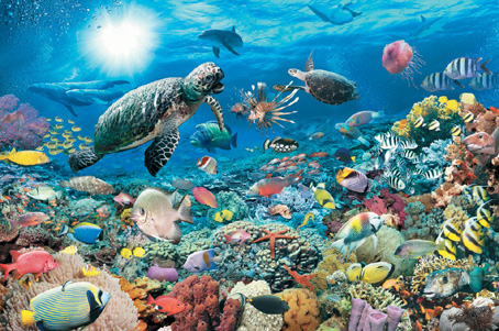Jigsaw Puzzle - Underwater Tranquility - 5000 Pieces Ravensburger
