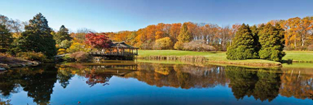 Jigsaw Puzzle - Fall in Maryland (Panoramic Image) (#39232) - 1000 Pieces  Clementoni