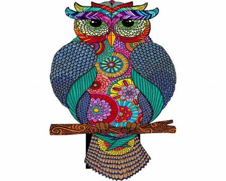 Wooden Jigsaw Puzzle - Owl Mazing (830106) - 250 Pieces Wentworth