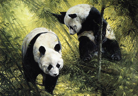 Wooden Jigsaw Puzzle - Panda Pair - 250 Pieces Wentworth