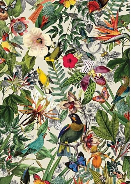 Wooden Jigsaw Puzzle - Tropical Rhapsody (872606) - 250 Pieces Wentworth